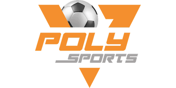 POLY গেমিং সলিউশন logo