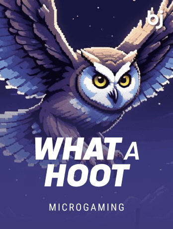 What A Hootpng game icon